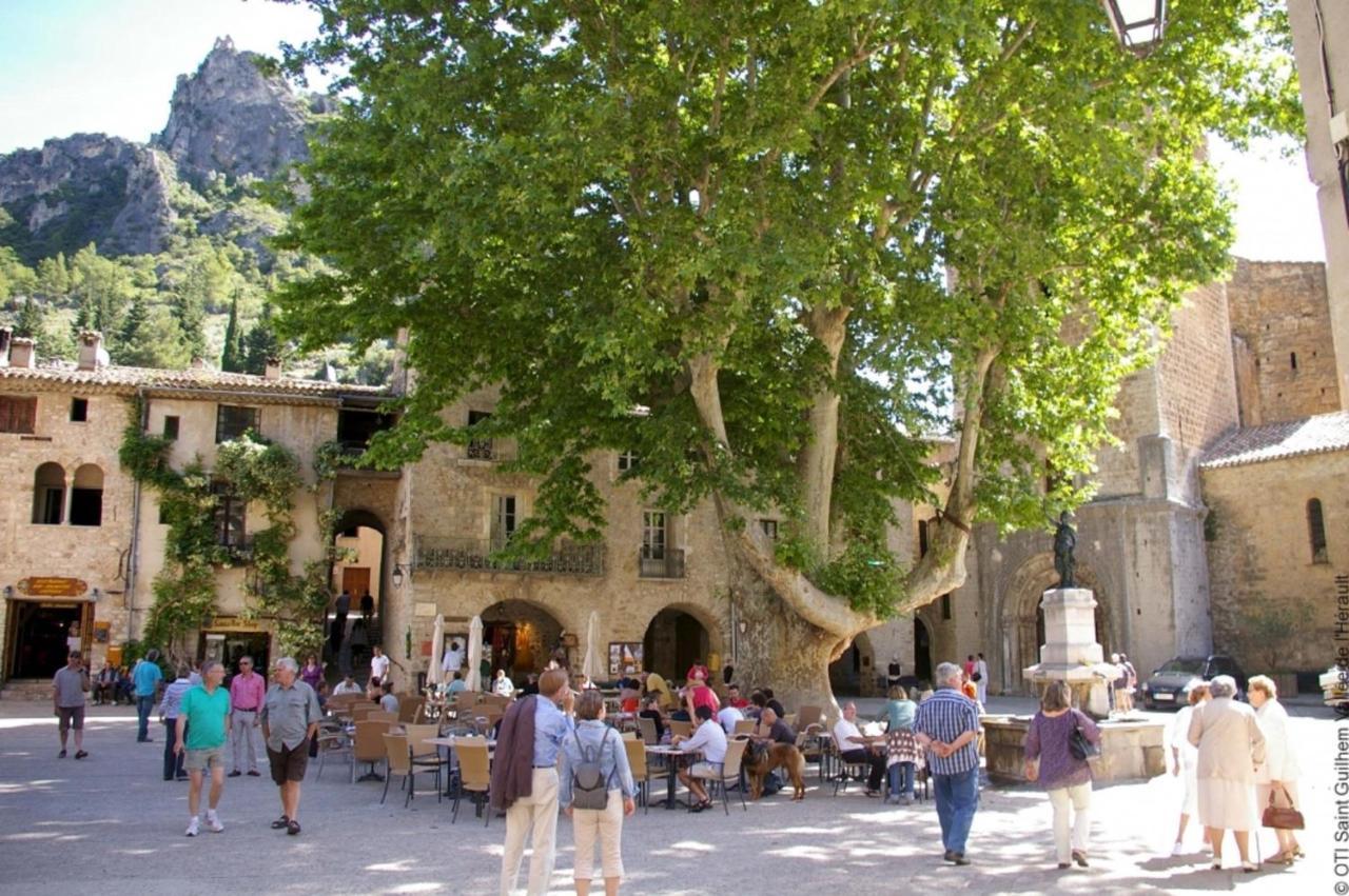 Le Patio: Charming 3-Star Residence in Beziers City Center Exterior photo